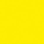 Carpeta color amarillo